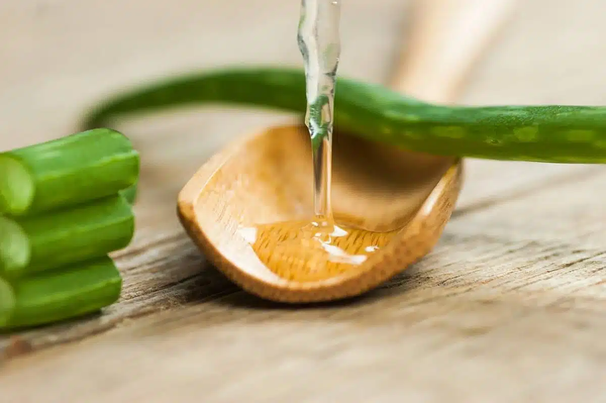 gel Aloe Vera pour les cheveux